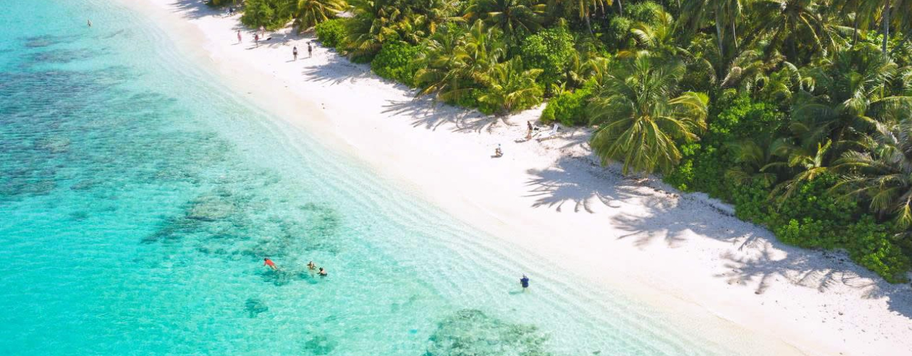 Paradise Found Resort - Slide 2