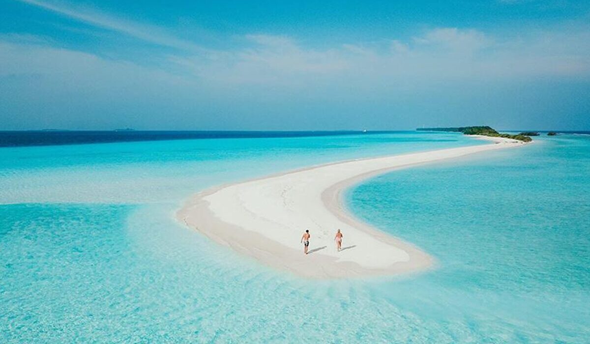 Turtle Reef Snorkeling - Image 5
